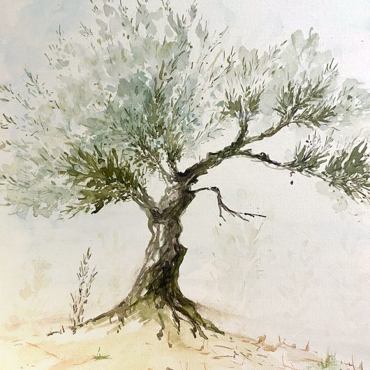 Nelly-olivier-aquarelle